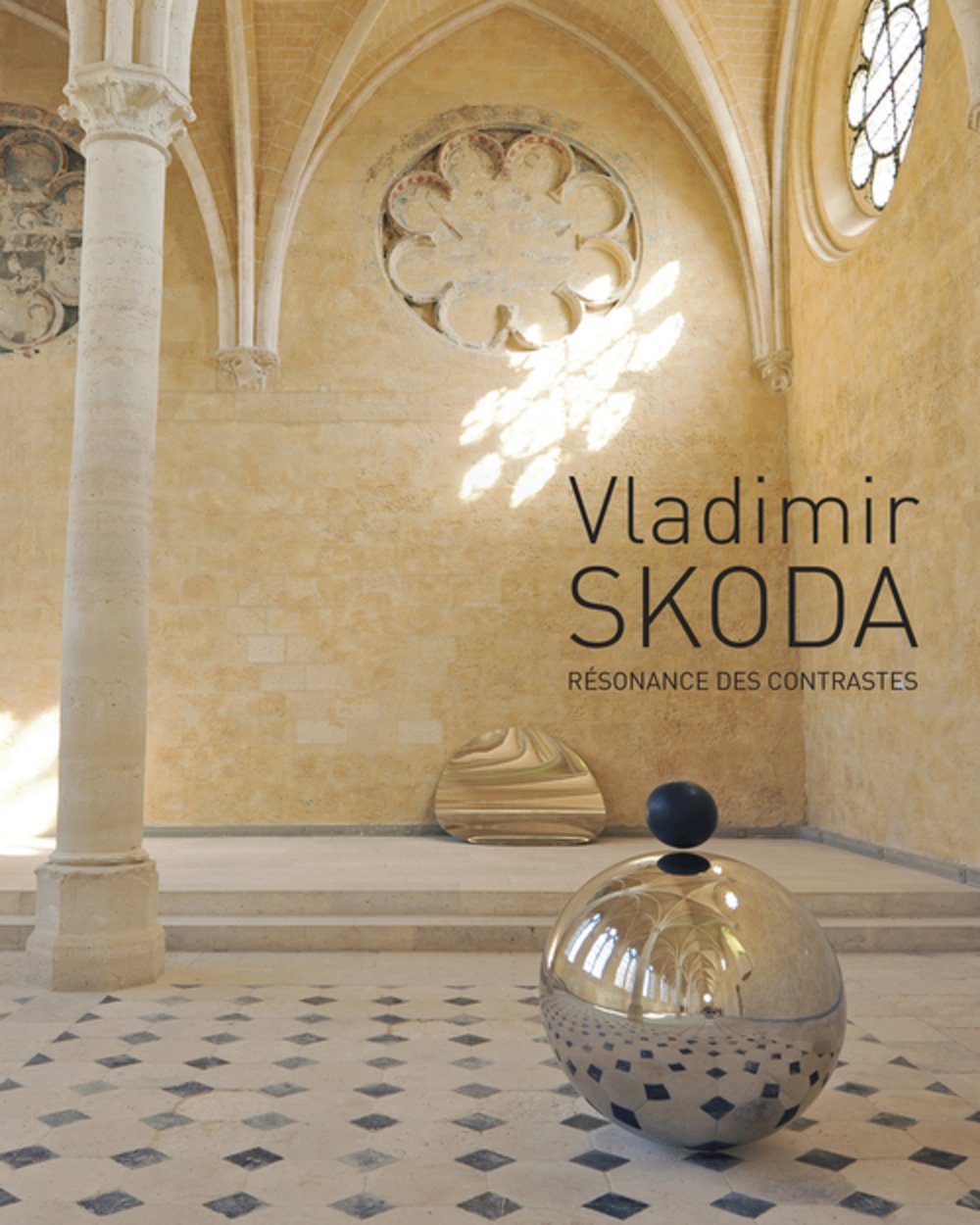 Vladimir Skoda: Résonance des contrastes Books