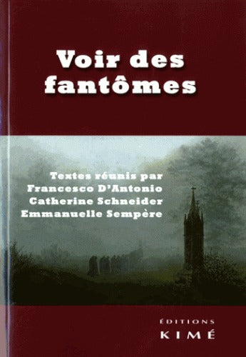 Voir des fantômes Social Sciences