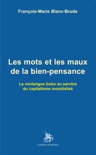 Les mots et les maux de la bien-pensance book