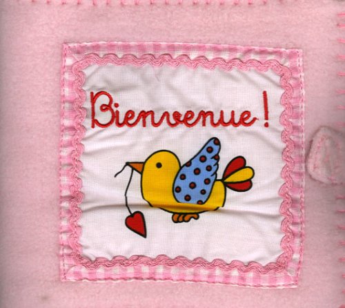 Bienvenue !: Un livre de naissance rose book