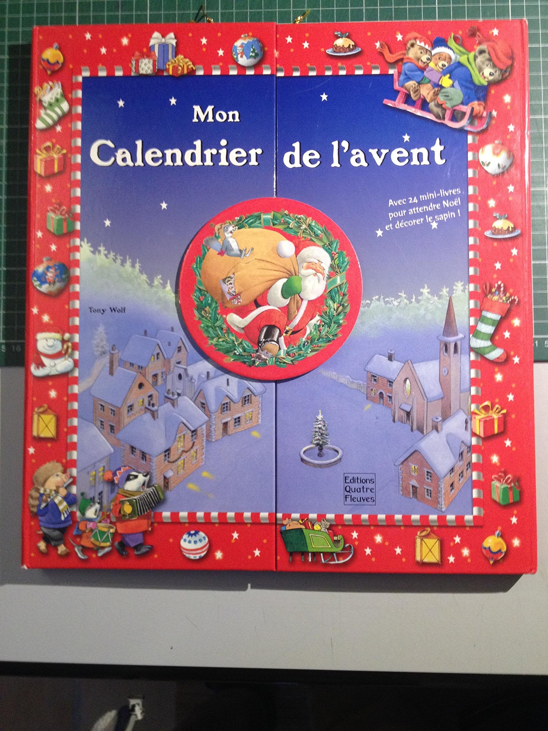 Mon calendrier de l'avent : les lumières de Noël book