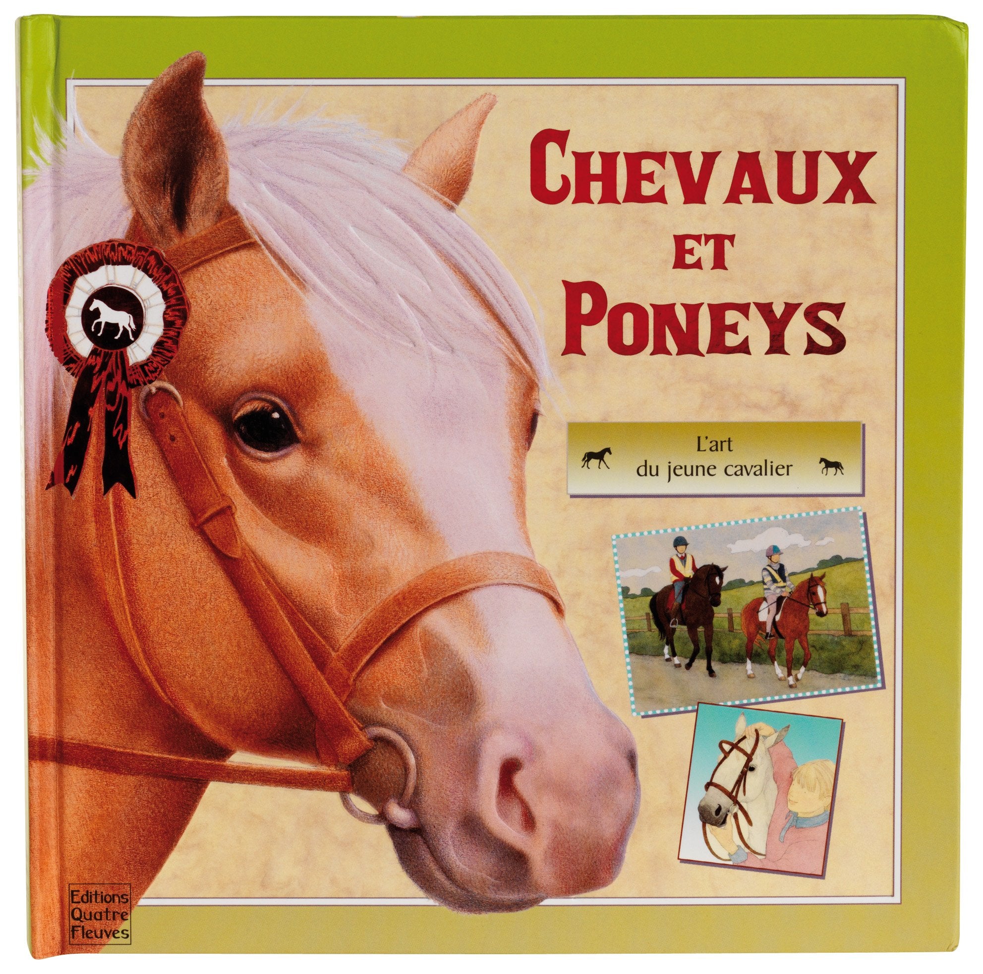 Chevaux et poneys: L'art du jeune cavalier book