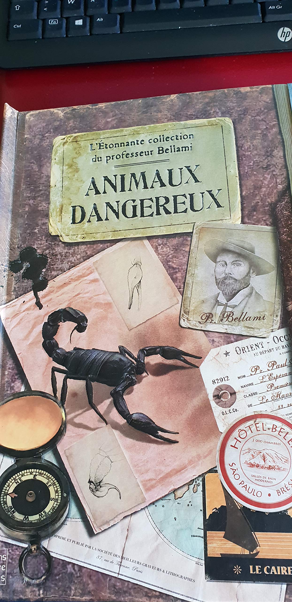 L'étonnante collection du professeur Bellami: animaux dangereux Books
