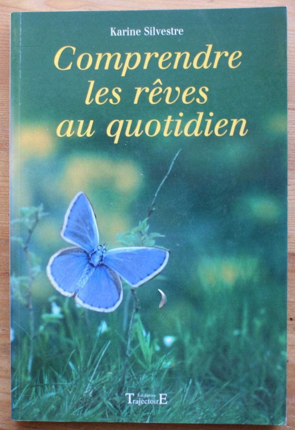 Comprendre les rêves au quotidien book