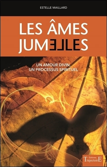 Les âmes jumelles : un amour divin, un processus spirituel Religion & Esotericism