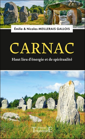 Carnac : haut lieu d'énergie et de spiritualité Reference Books