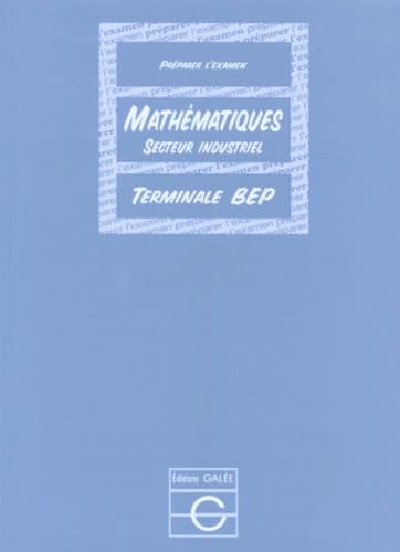 Mathematiques Terminale Bep Secteur Industriel. Preparer L'Examen, Sujet 95-96 book