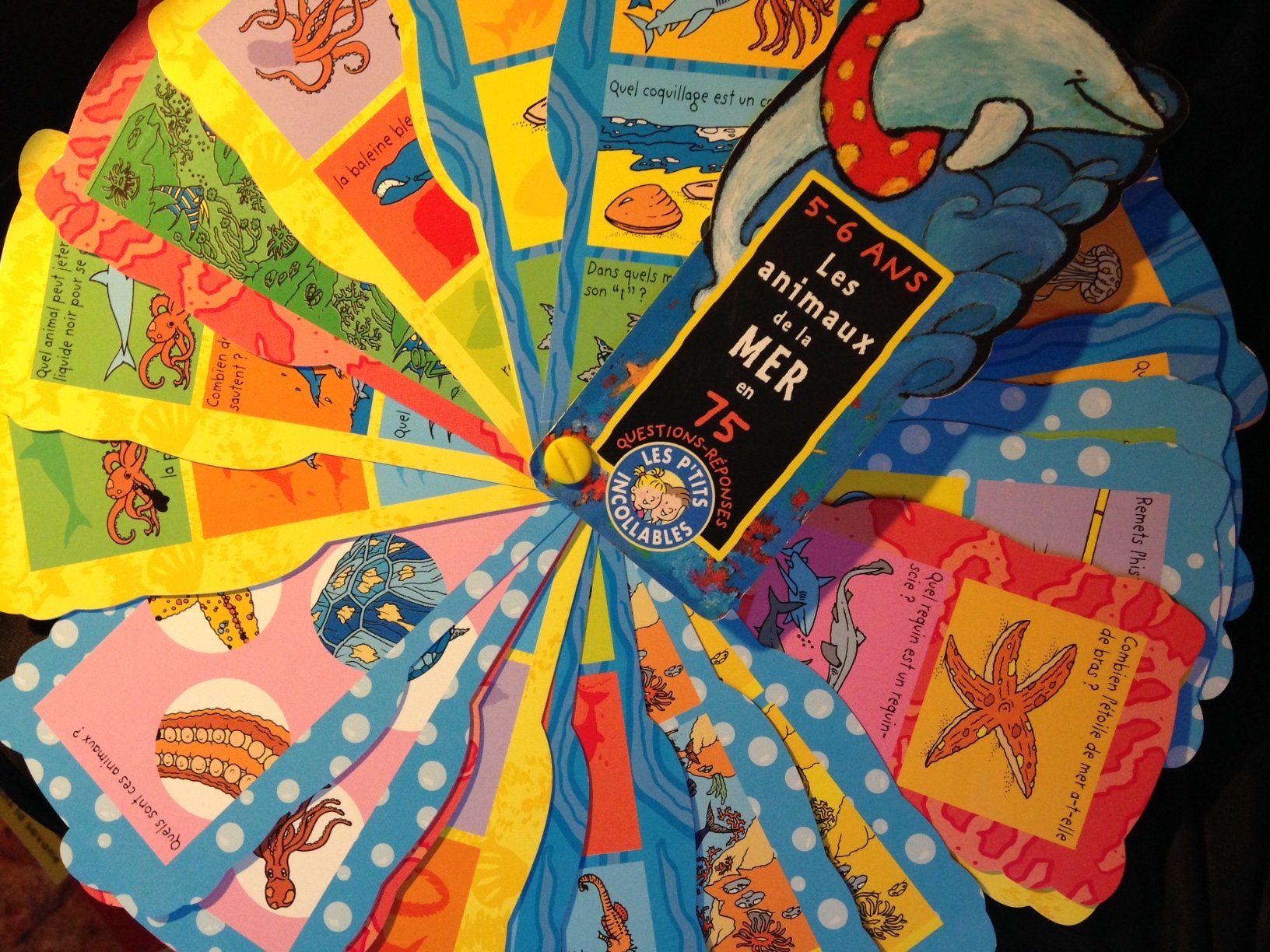 Les P'tits Incollables - Les Animaux de la Mer book
