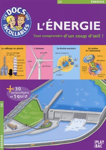 L'énergie: Tout comprendre d'un seul coup d'oeil ! Books
