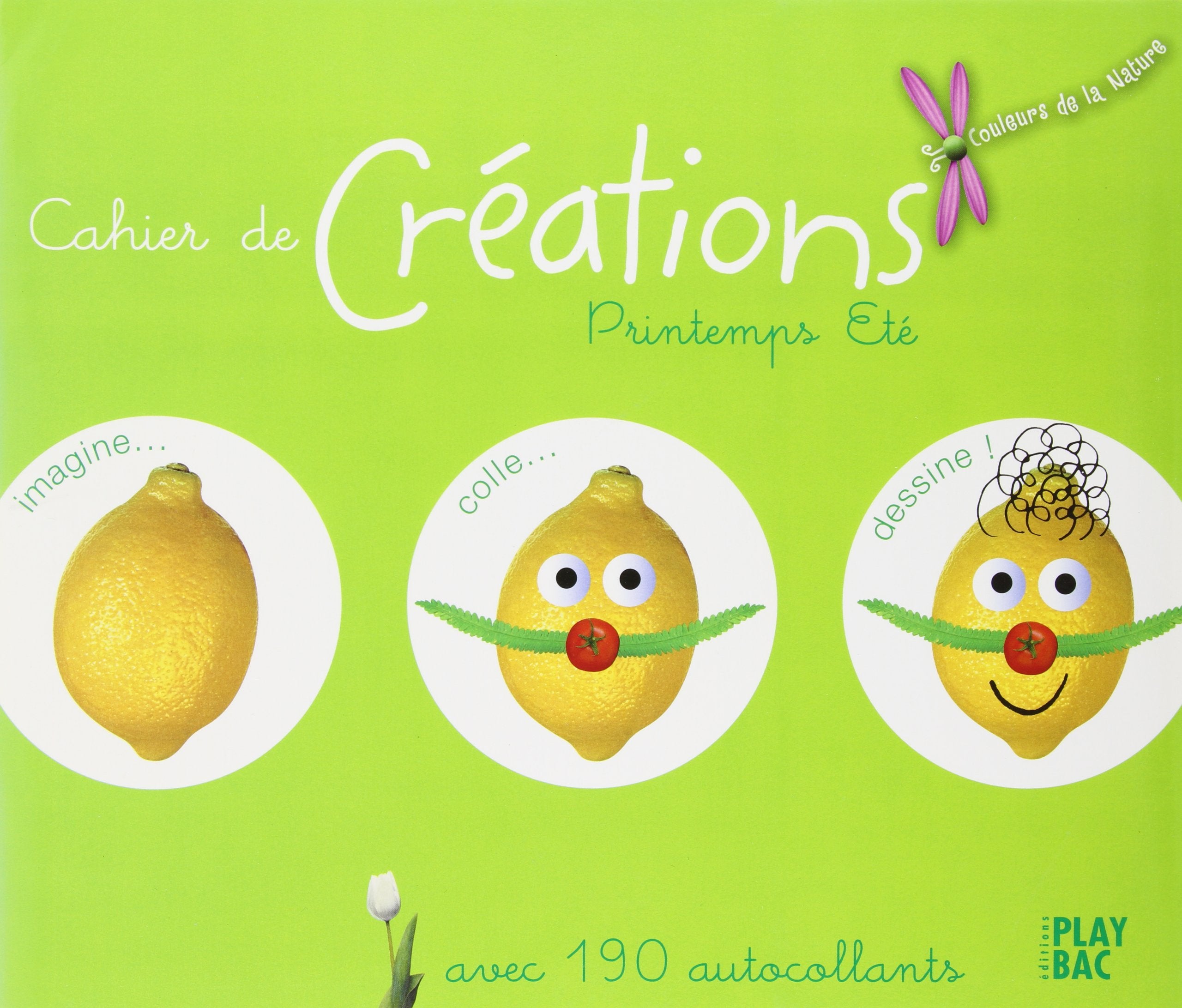 Cahier de Créations Printemps Eté: Avec 190 autocollants book