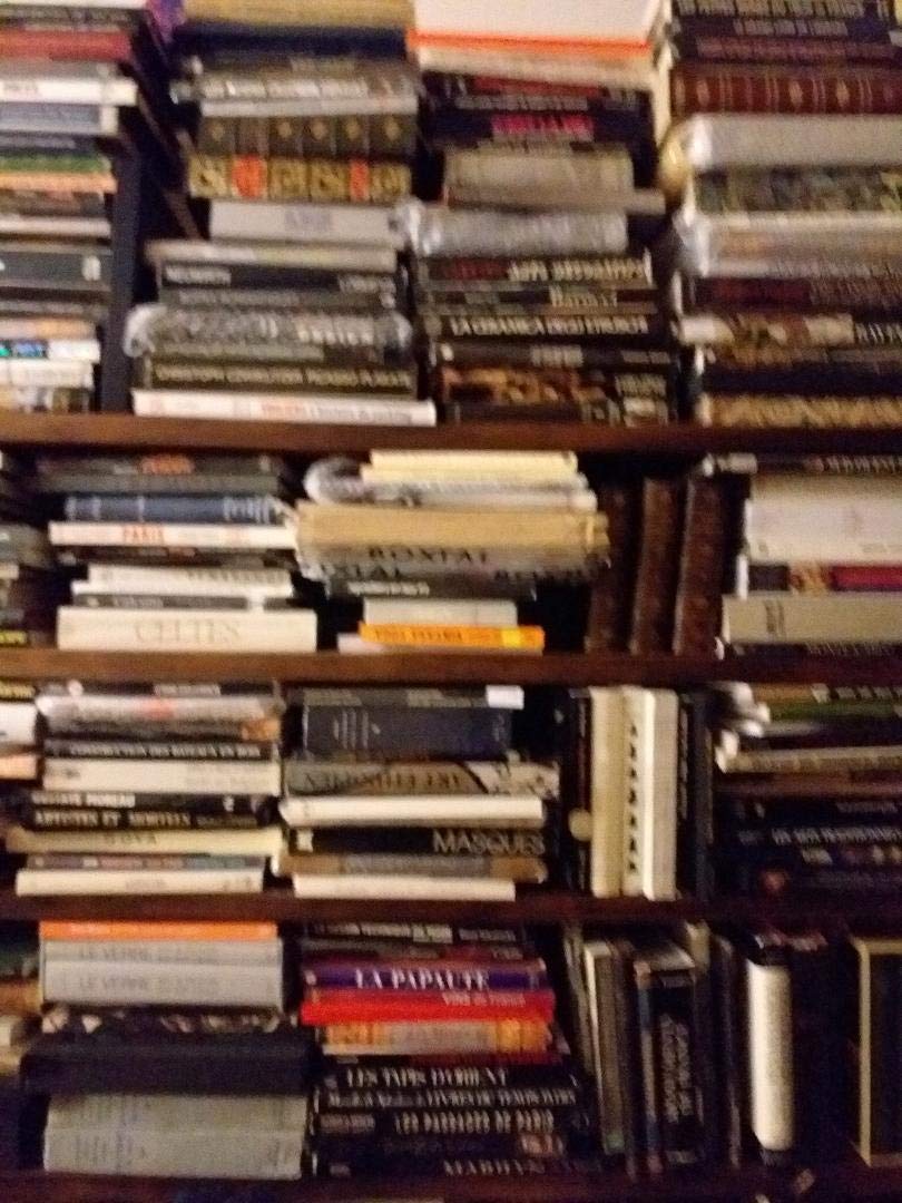 Réanimation, coma : à la recherche du sujet inconscient book