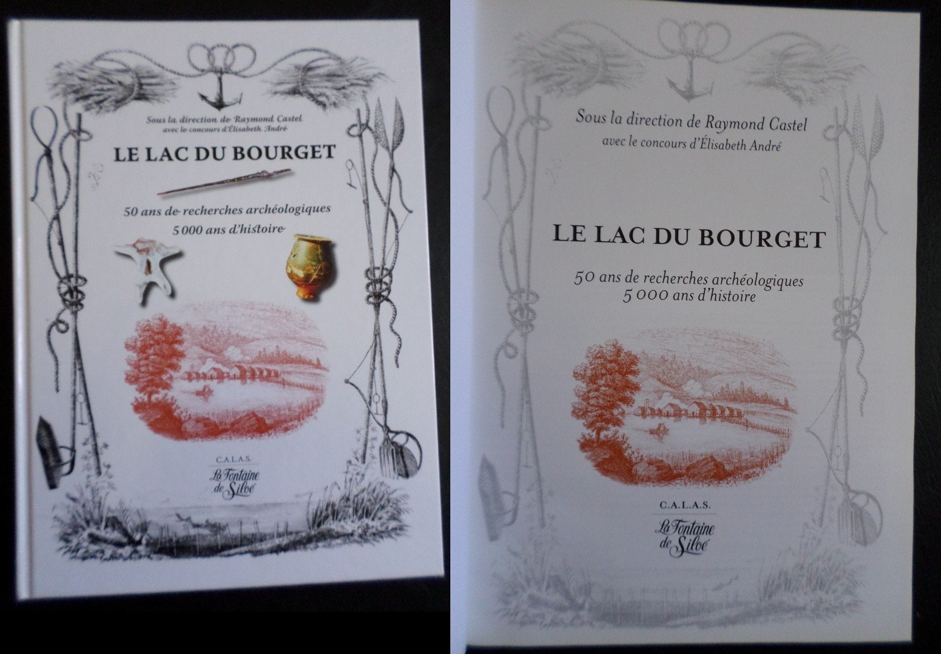 Le Lac du Bourget : 50 ans de recherches archéologiques, 5000 ans d'histoire book