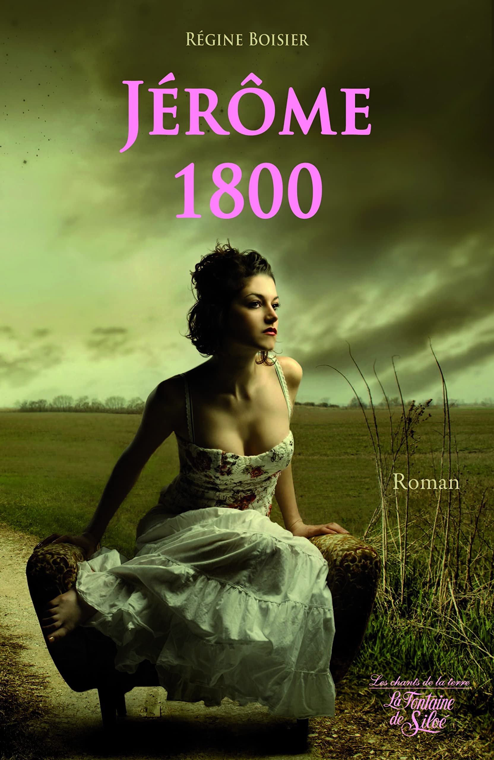Jérôme 1800: "Le Français" au pays des Savoyards book