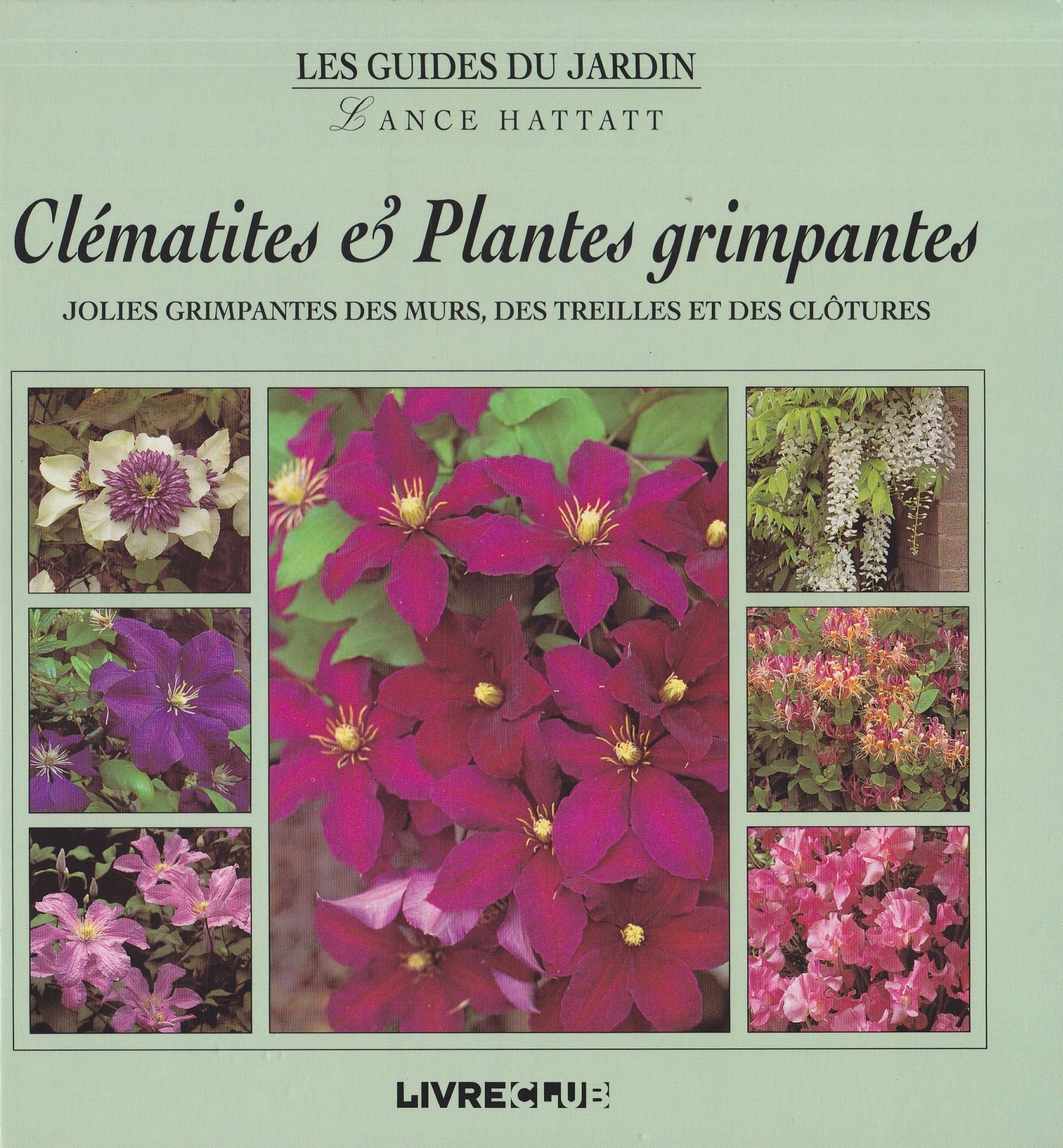 Clématites et plantes grimpantes (Les guides du jardin) Books