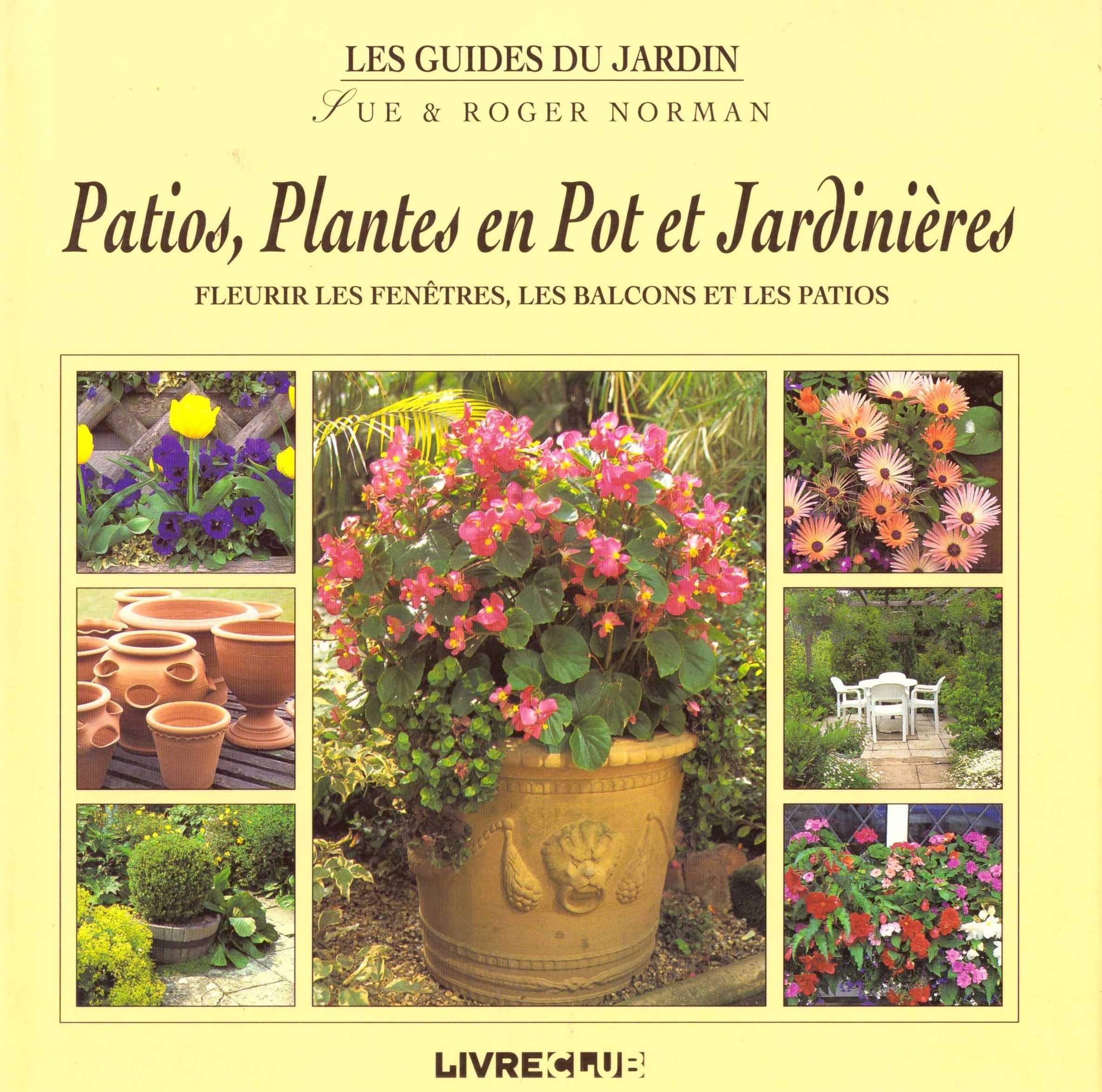 Patios, plantes en pot et jardinières : Fleurir les fenêtres, les balcons et les patios book