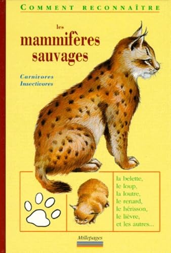 Les mammifères sauvages : carnivores, insectivores, lagomorphes book