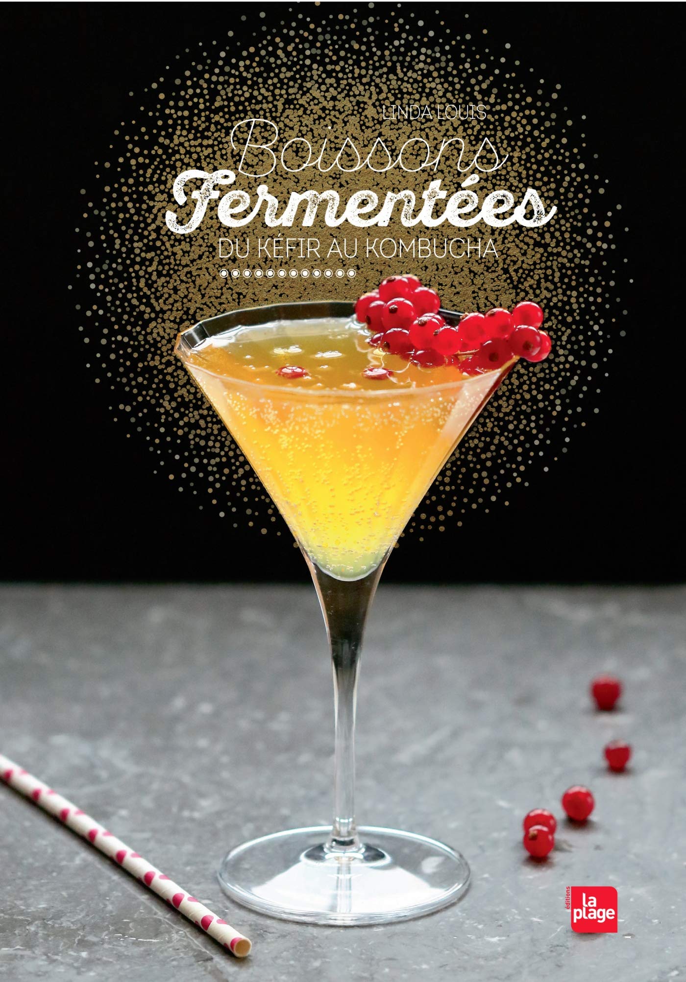 Boissons fermentées: Du Kéfir au Kombucha Leisure, Home & Garden