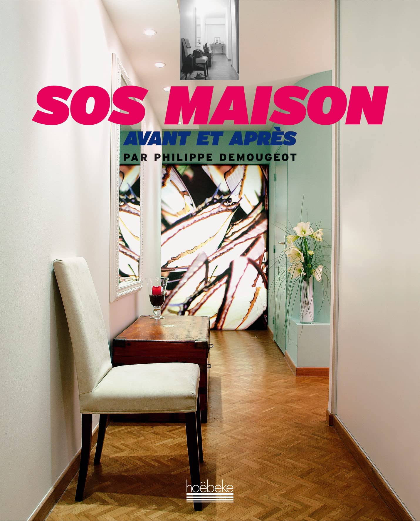 SOS MAISON: AVANT ET APRES book