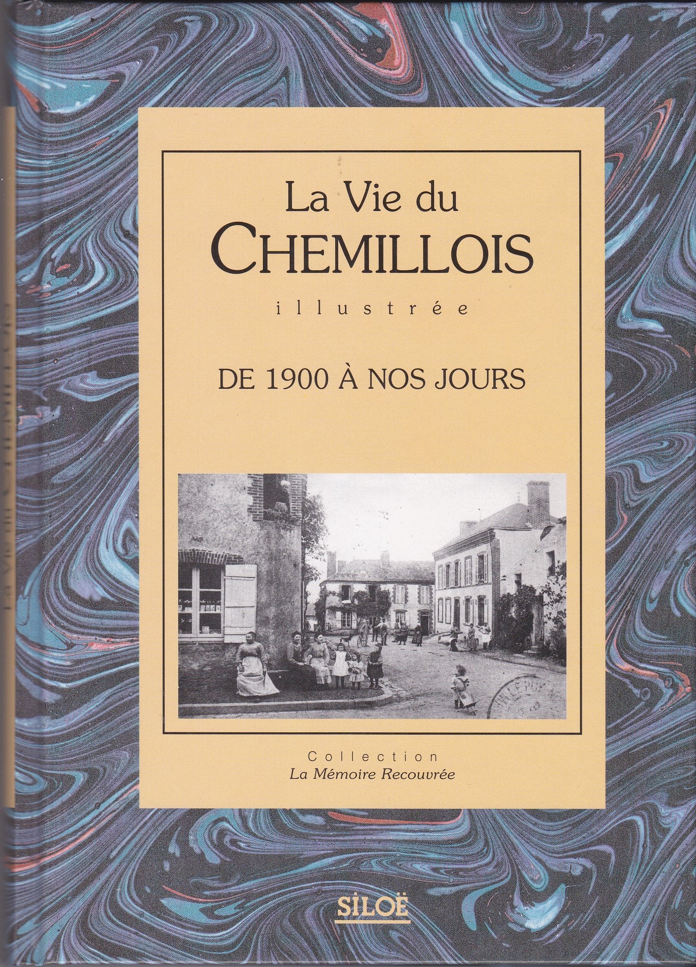 La Vie du Chemillois de 1900 à nos jours book
