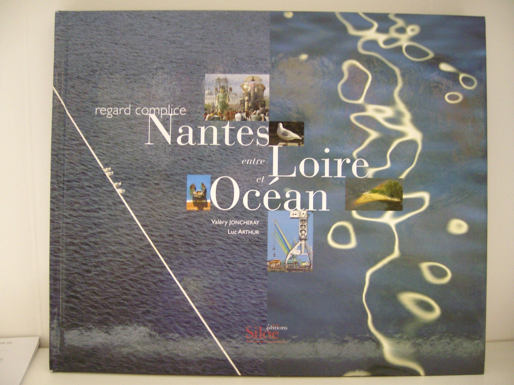 Nantes entre Loire et océan book