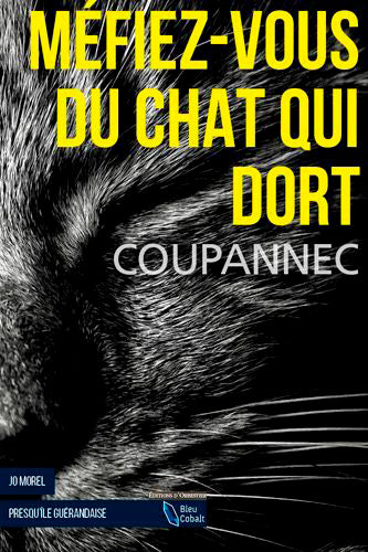 Jo Morel. Méfiez-vous du chat qui dort : presqu'île guérandaise book