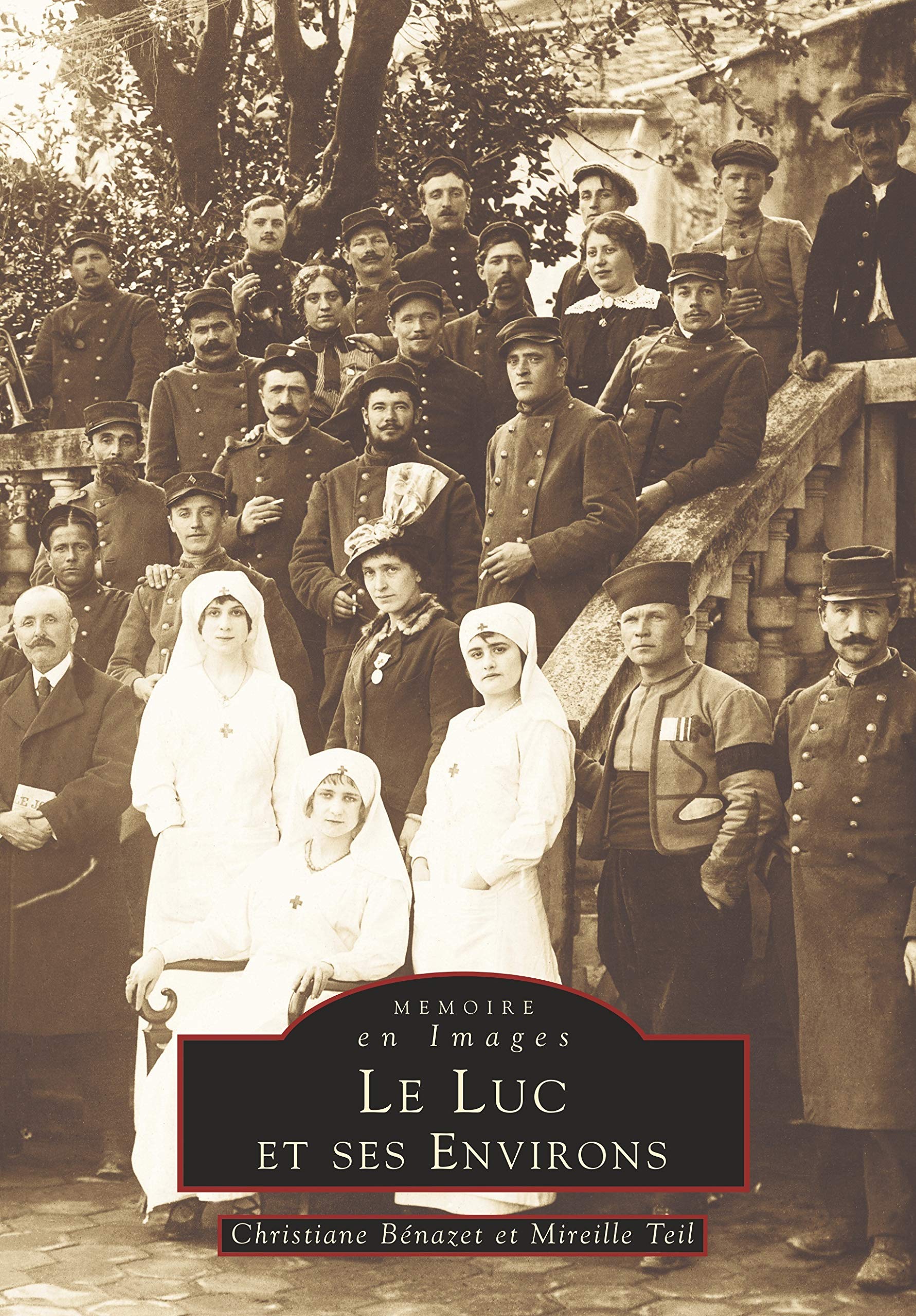 Luc et ses environs (Le) - Tome I book