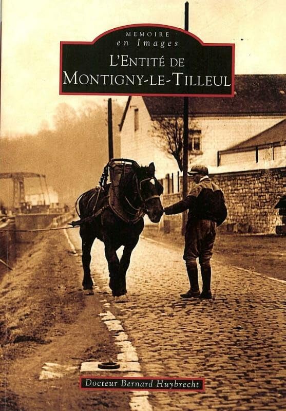 L' Entite de Montigny-le-Tilleul (Memoire en Images) Books