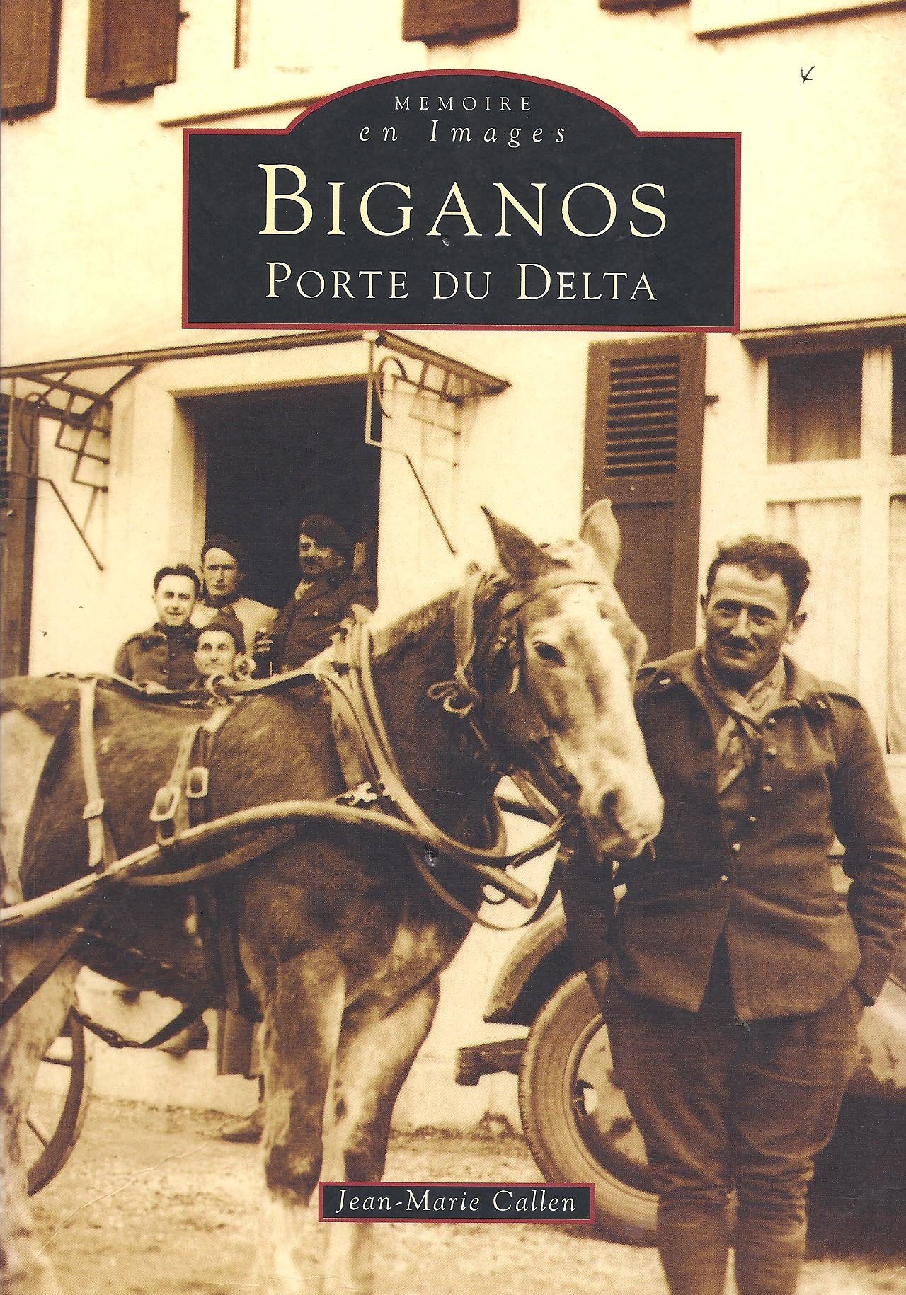 Biganos: Porte du delta Politics & History