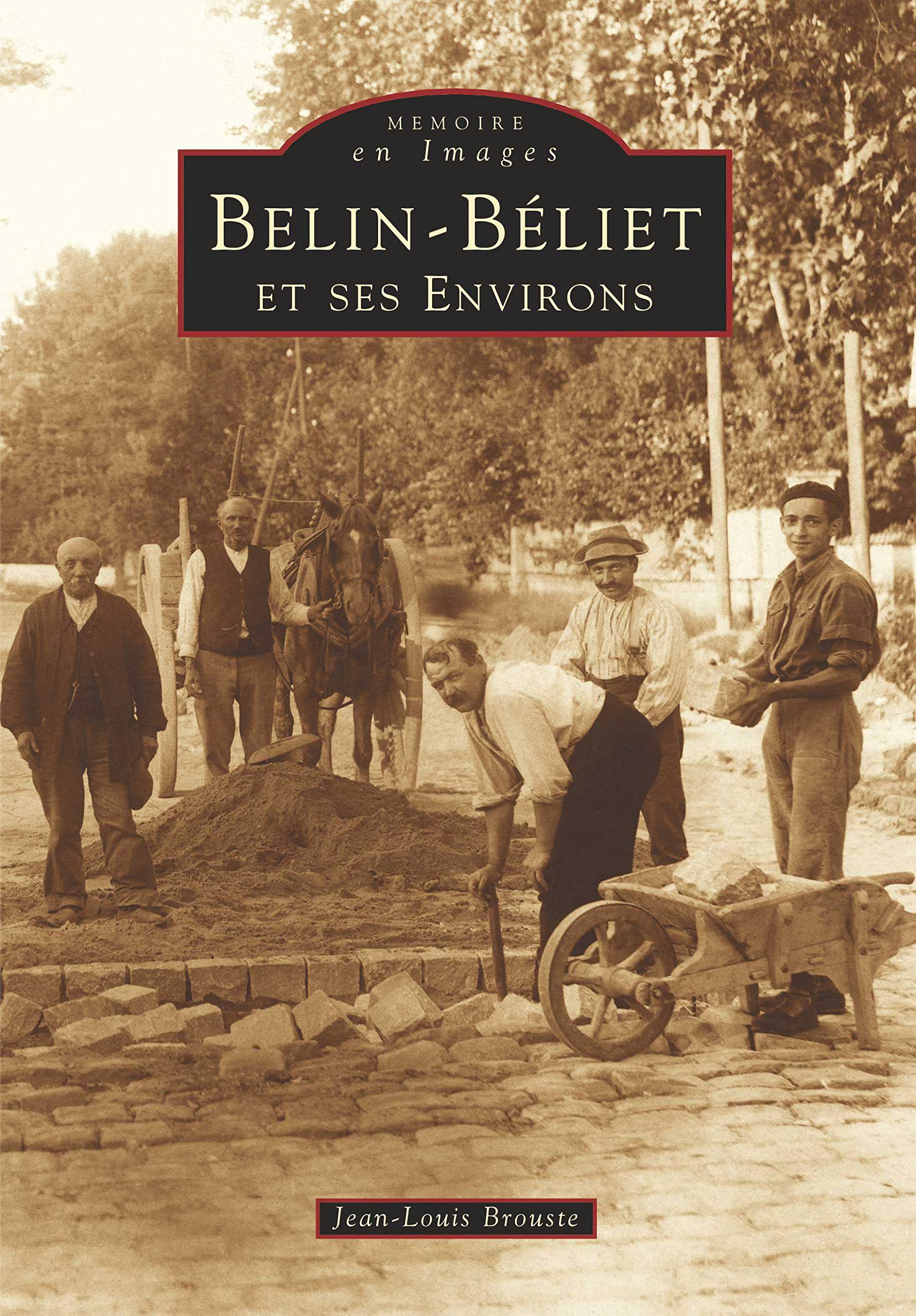 Belin-Béliet et ses environs book