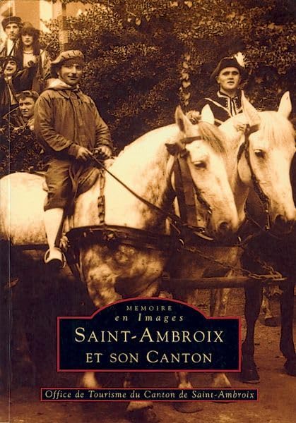 Saint-Ambroix et son canton Politics & History