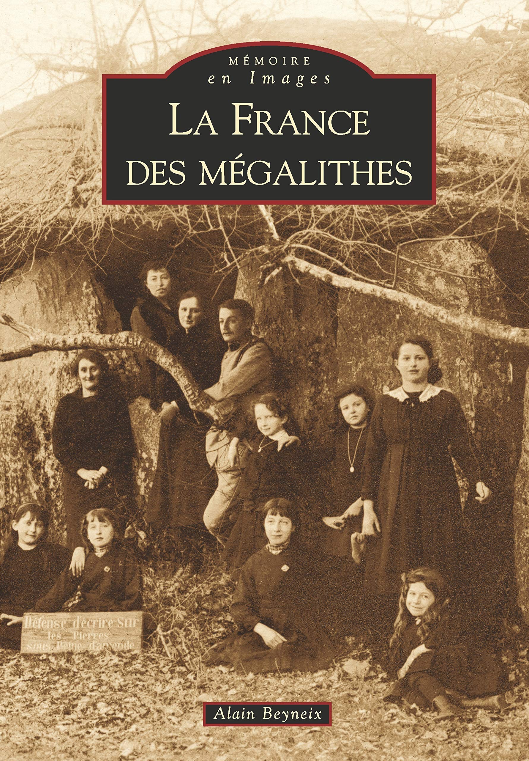 France des mégalithes (La) book