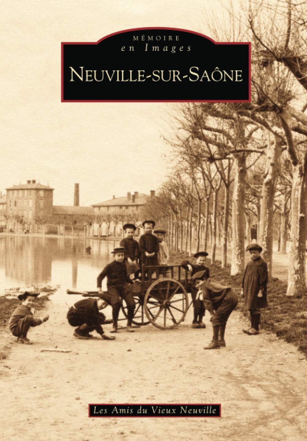 Neuville-sur-Saône book