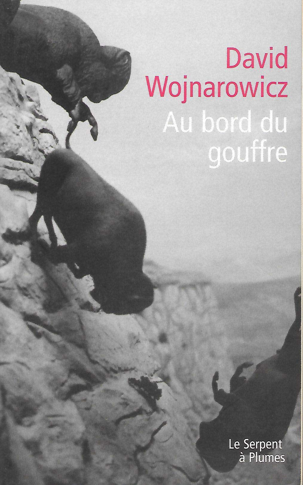 Au bord du gouffre : mémoires d'une désagrégation : récit Books