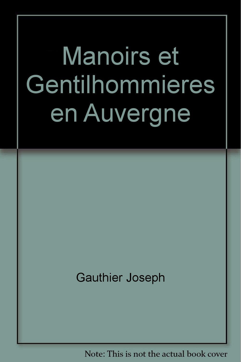 Manoirs et gentilhommières en Auvergne book