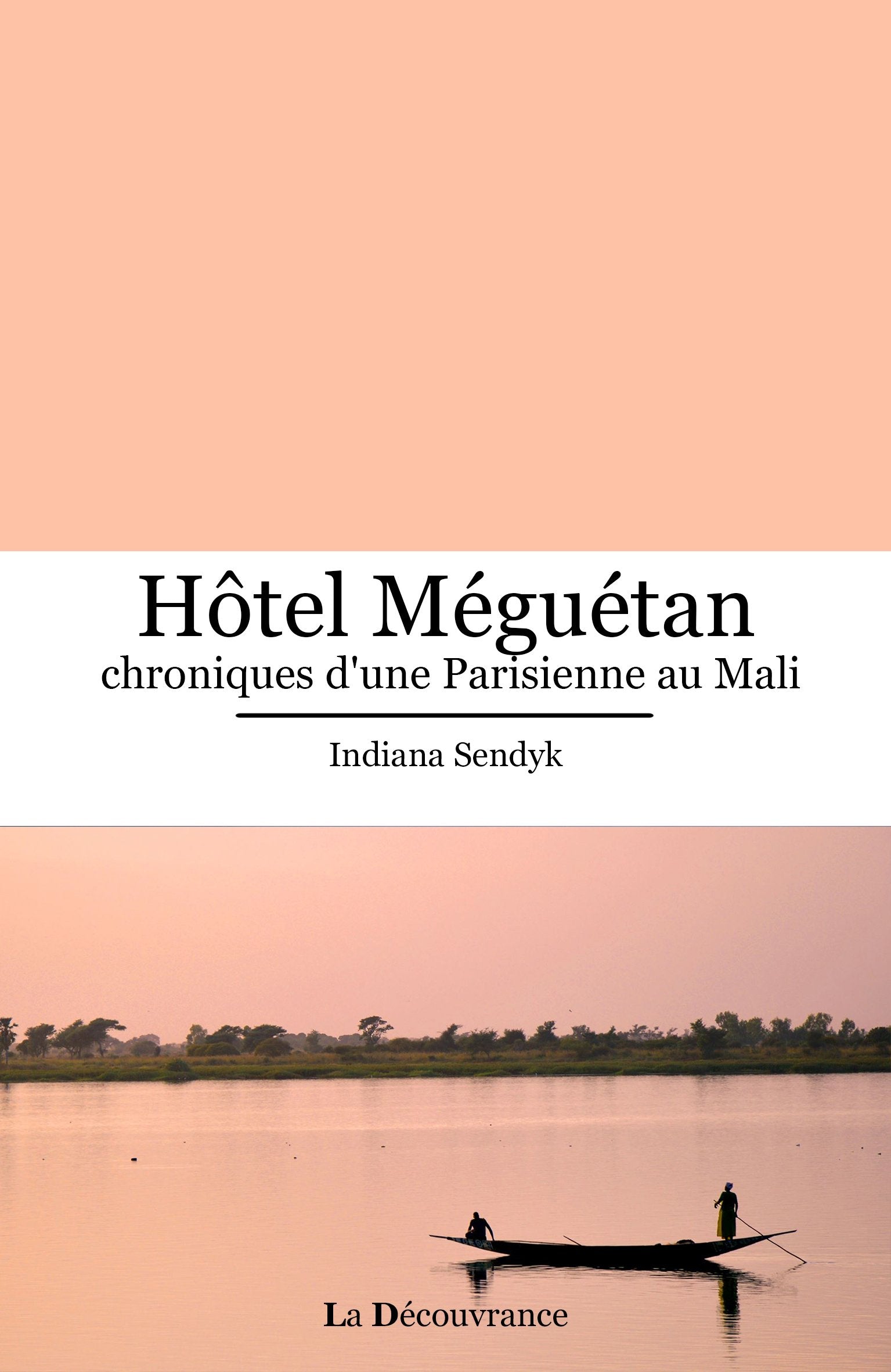 Hôtel Méguétan, chroniques d'une parisienne au Mali Books