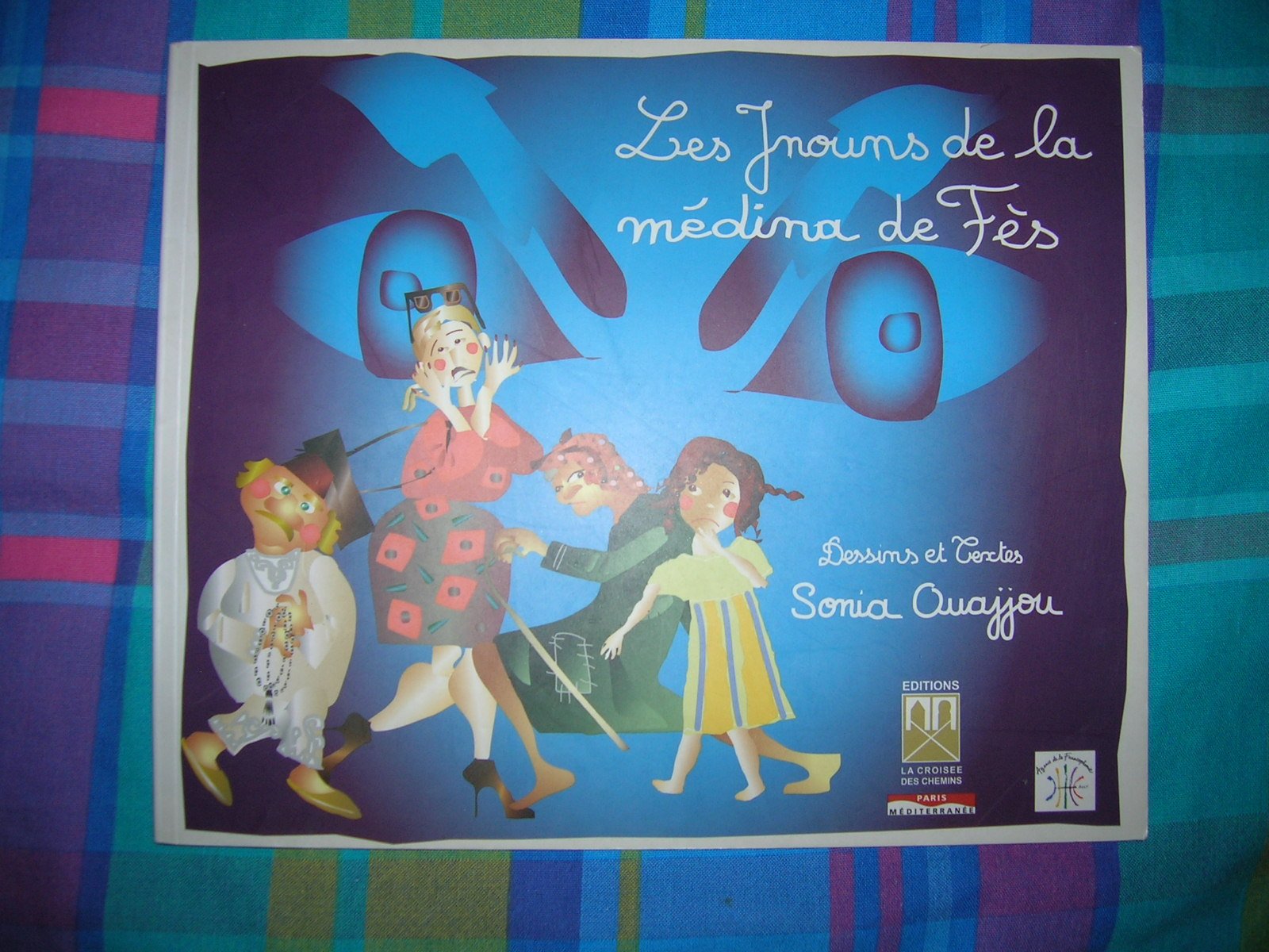 Jnouns de la Medina de Fes (les) book