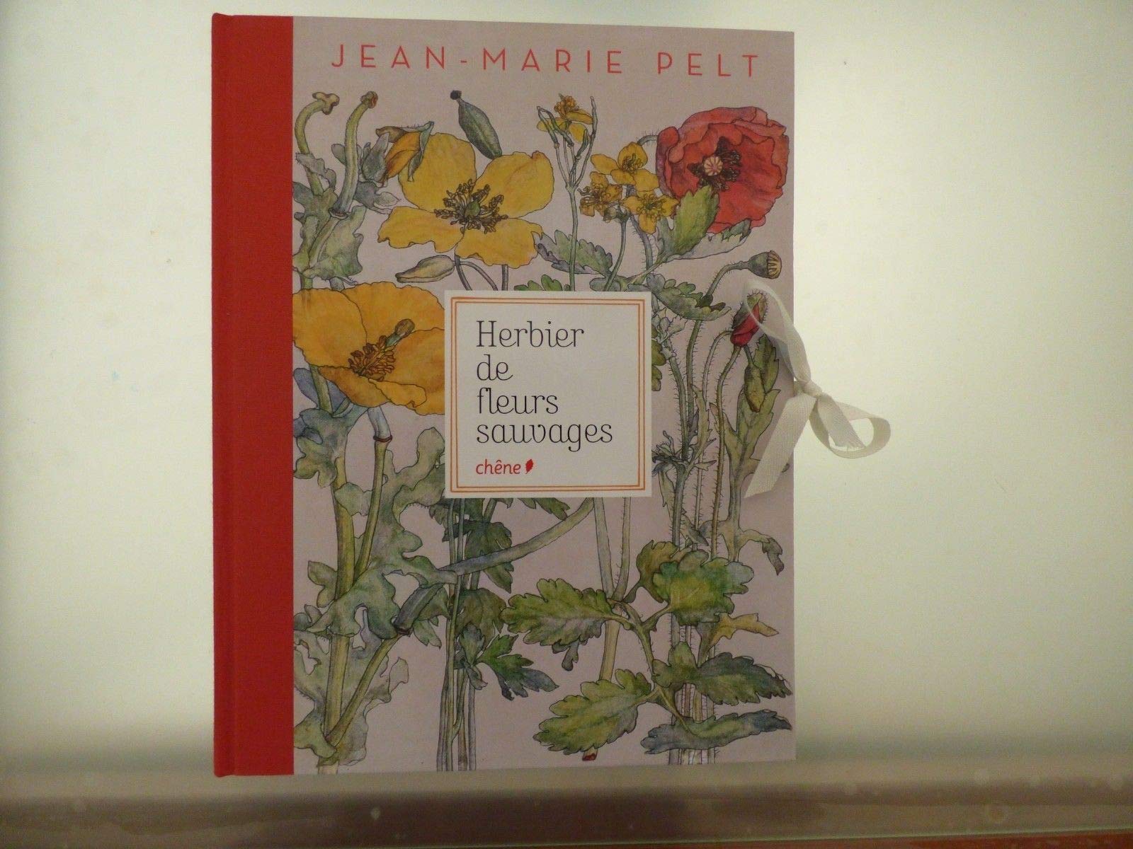 Herbier de fleurs sauvages book
