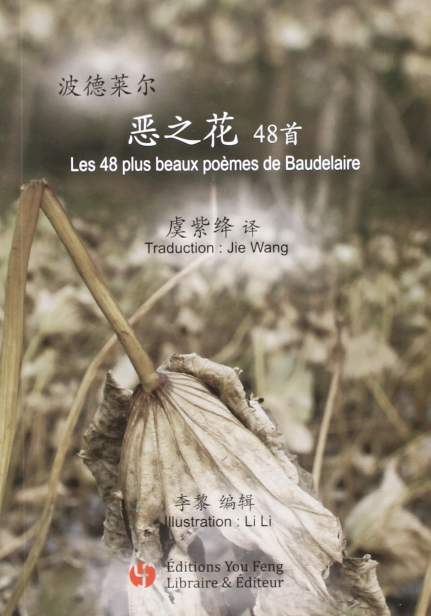 LES 48 PLUS BEAUX POEMES DE BAUDELAIRE / 48 - EDITION BILINGUE Non-fiction