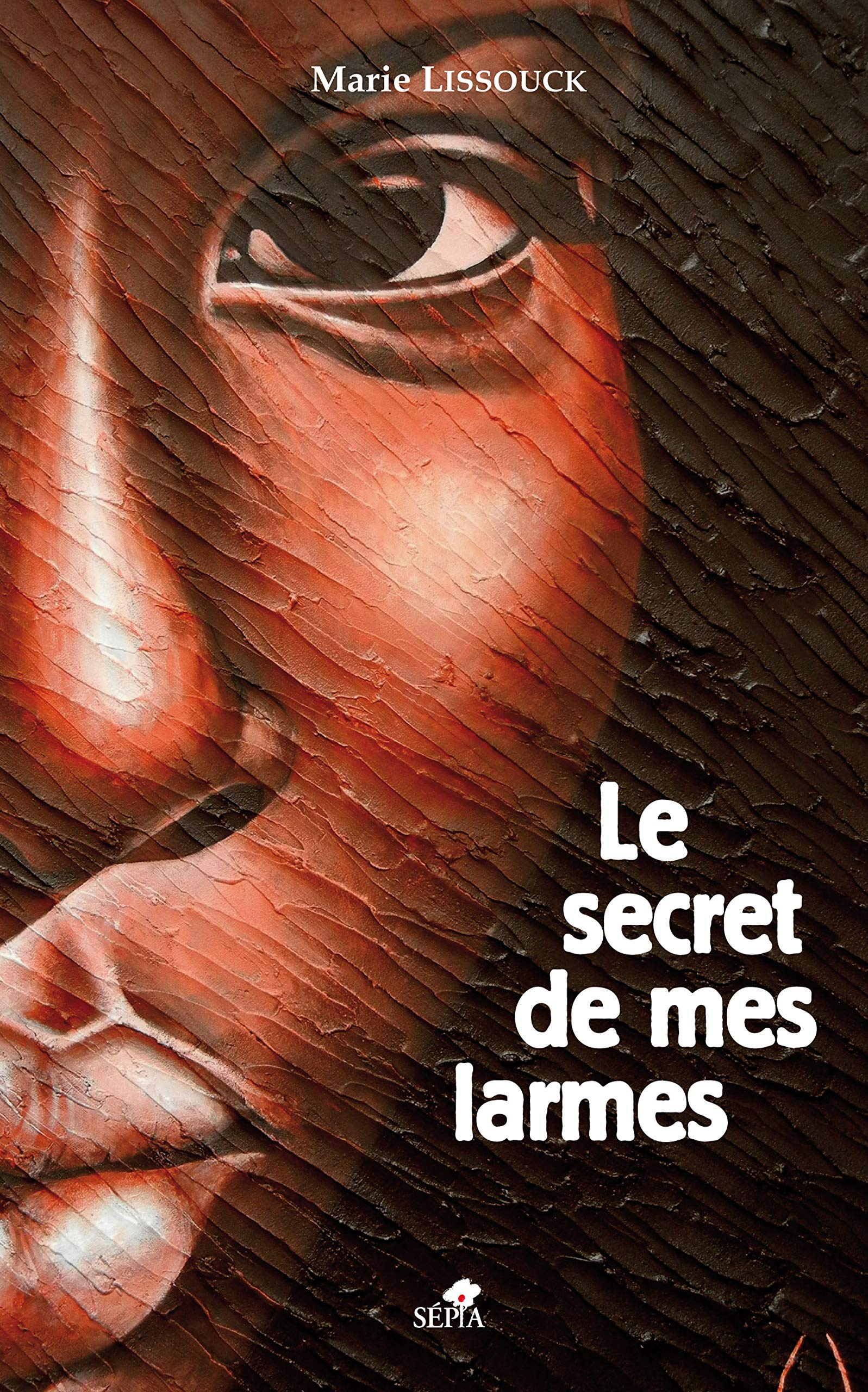 LE SECRET DE MES LARMES book