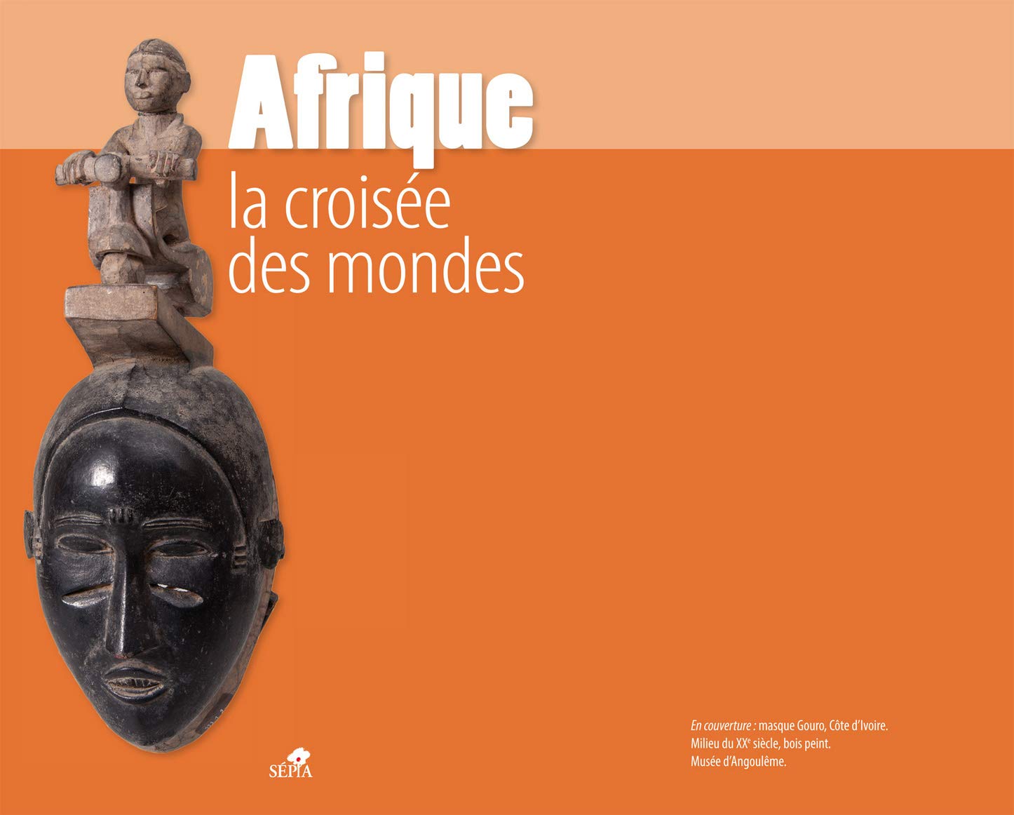 AFRIQUE LA CROISÉE DES MONDES book