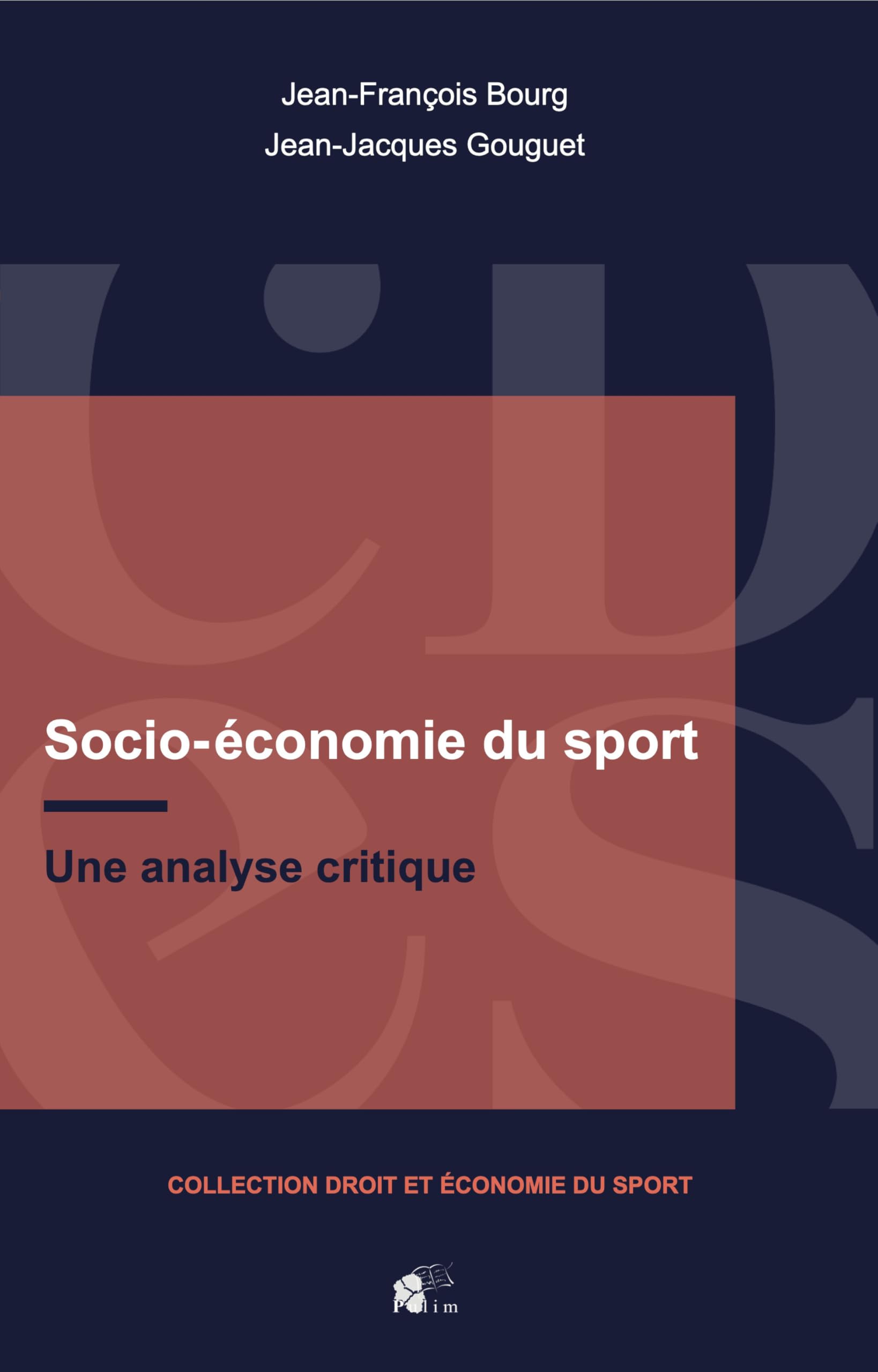 Socio-économie du sport: Une analyse critique book