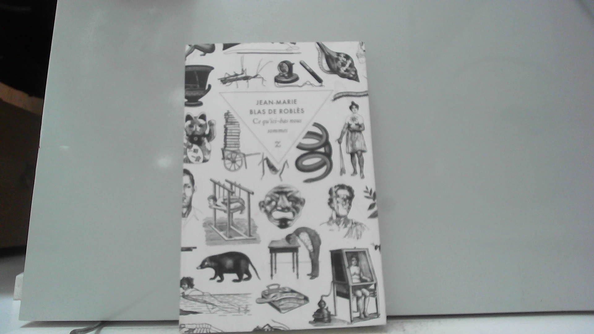 Ce qu'ici-bas nous sommes book