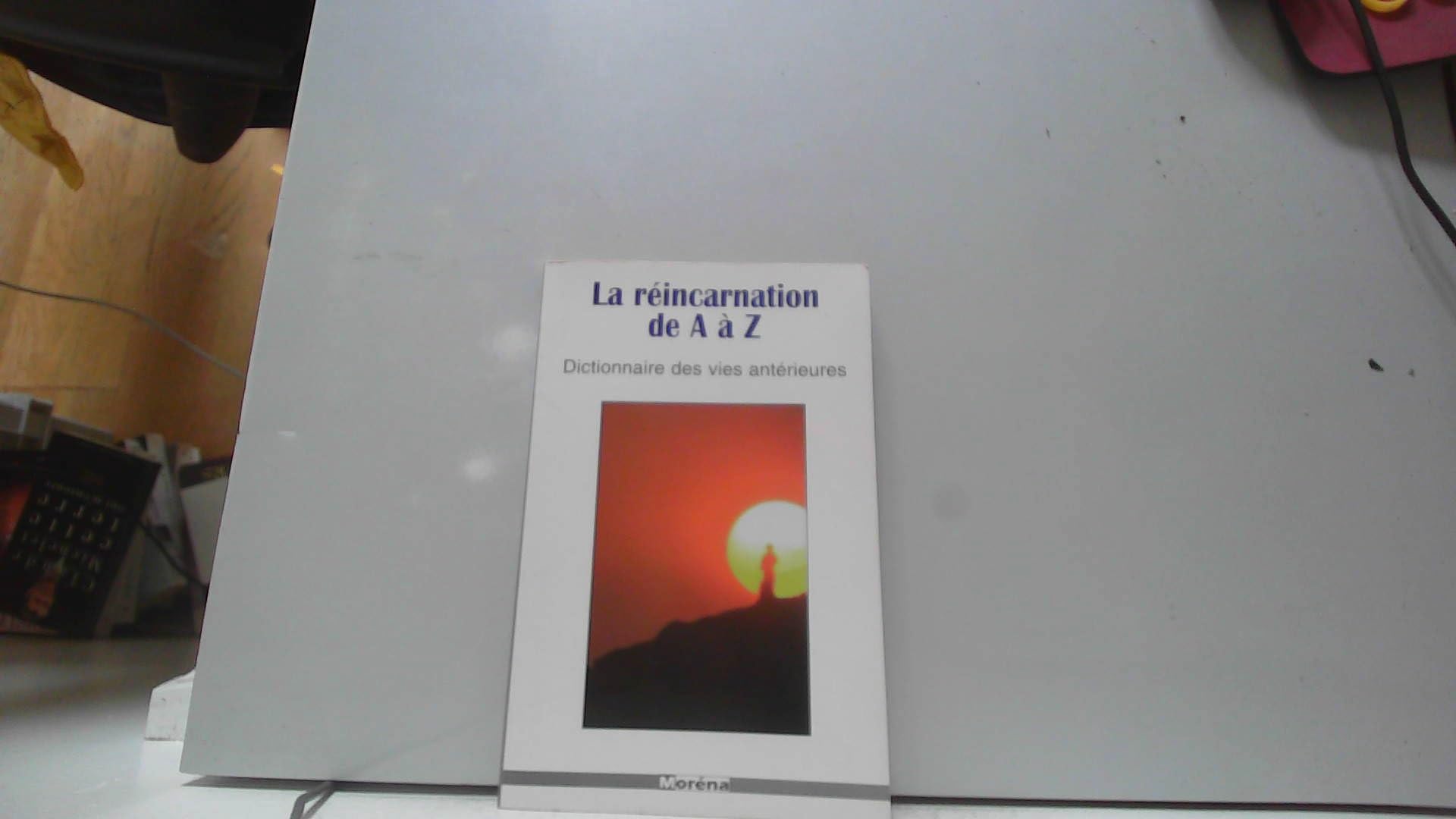 La réincarnation de A à Z : Dictionnaire des vies antérieures book