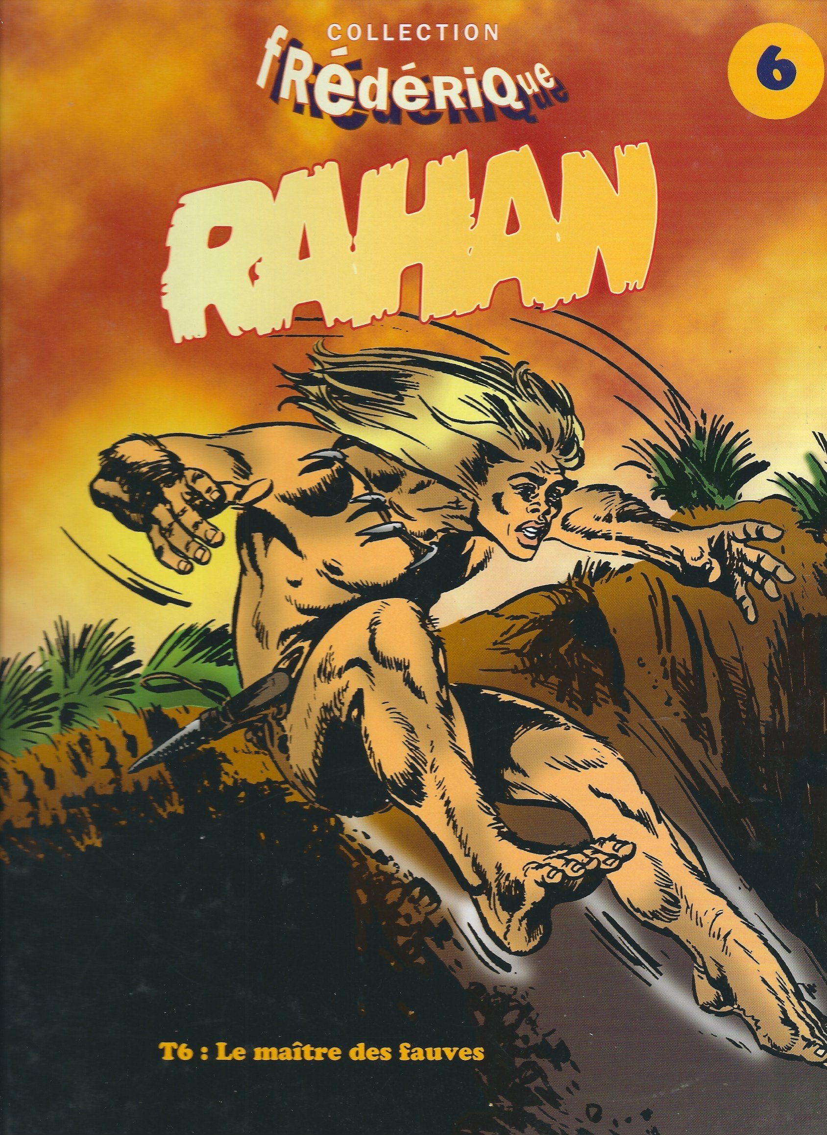 Rahan 6 : le maitre des fauves 082997 Books