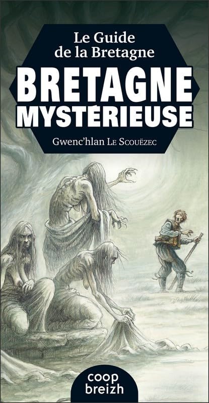Le guide de la Bretagne mystérieuse book