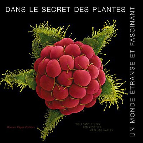 Dans le secret des plantes: Un monde étrange et fascinant book