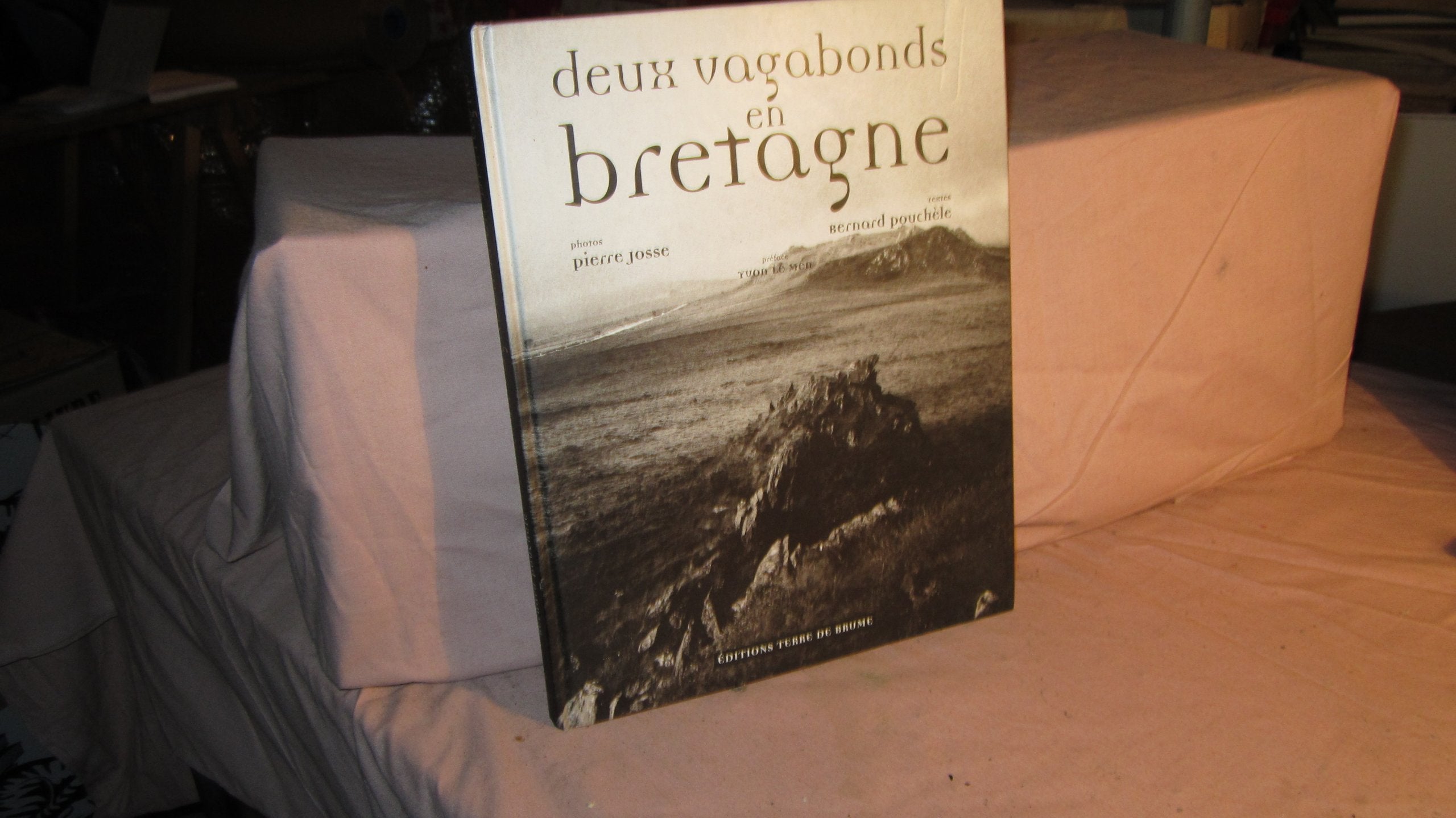 Deux vagabonds en Bretagne book