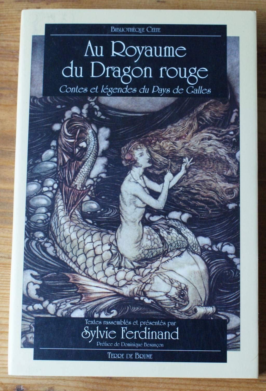 Au Royaume du dragon rouge : Contes et Légendes du pays de Galles book