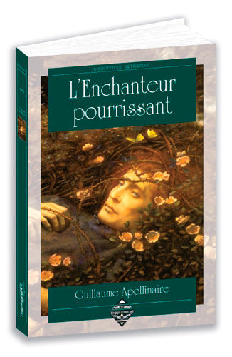 L'enchanteur pourrissant book