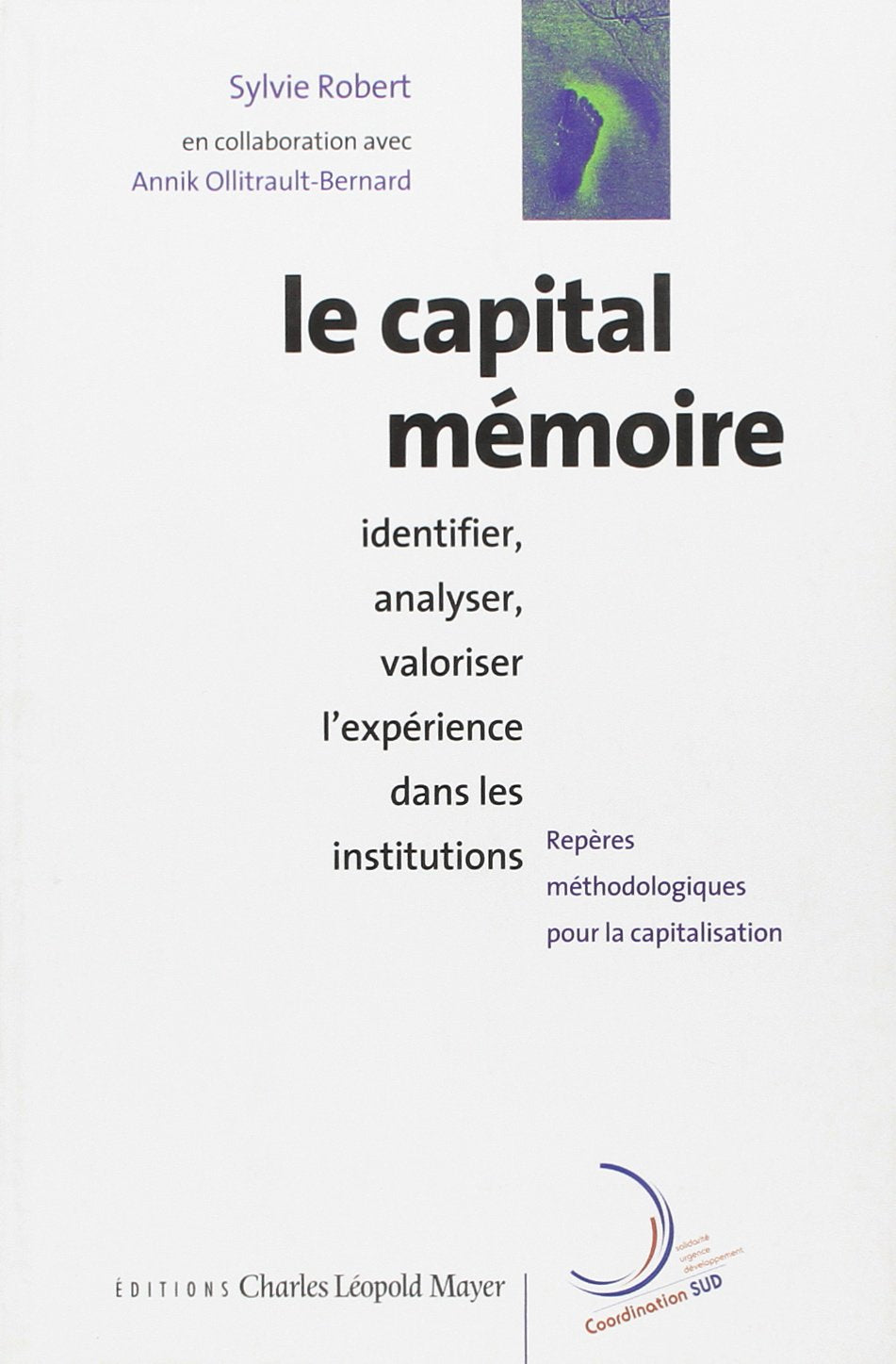 Le Capital mémoire: Identifier, analyser, valoriser l'expérience dans les institutions book